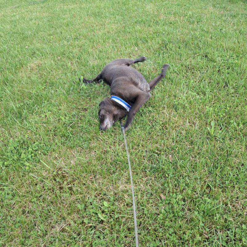 Alma uploaded   1 year/s ago