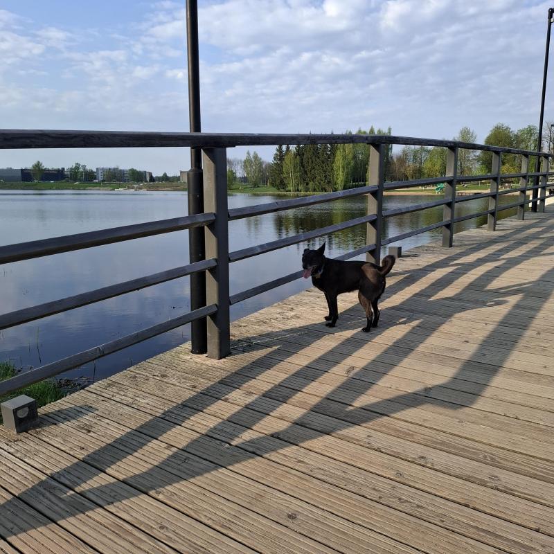 Alma uploaded   349  day/s  ago