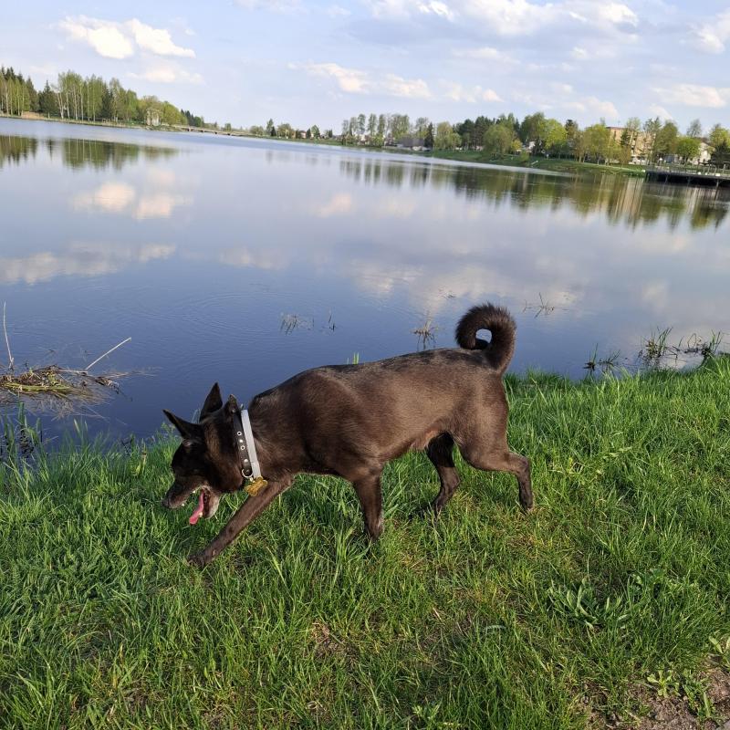 Alma uploaded   362  day/s  ago