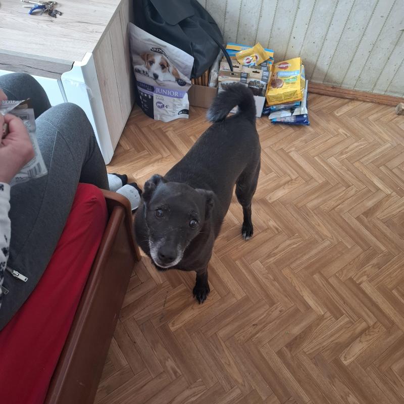 Alma uploaded   340  day/s  ago