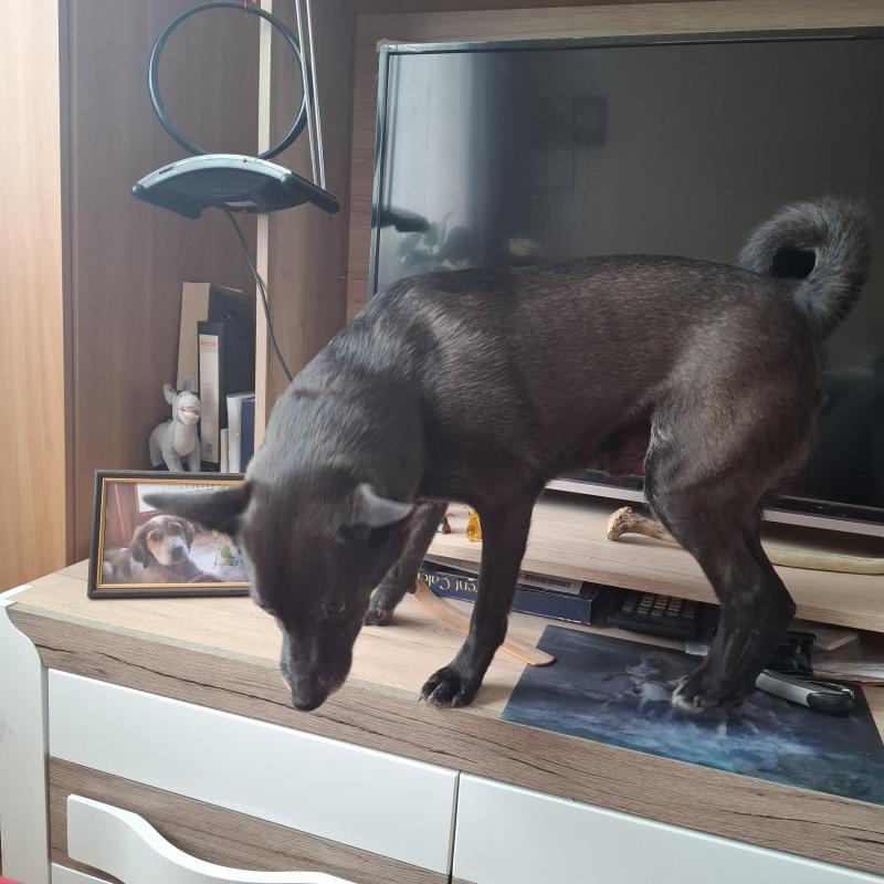 Alma uploaded   1 year/s ago