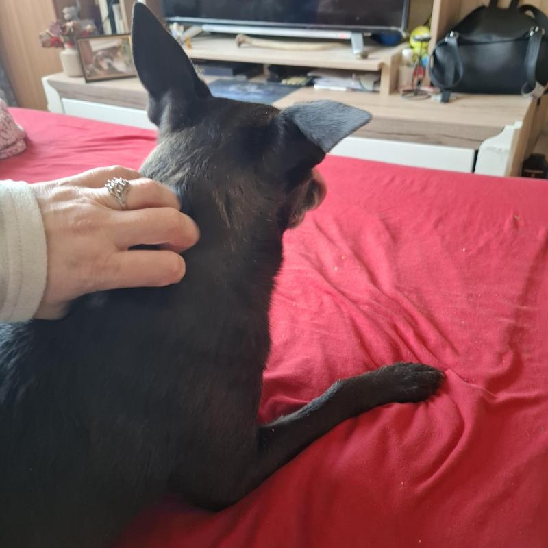 Alma uploaded   1 year/s ago