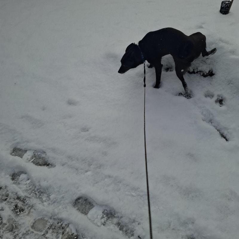 Alma uploaded   1 year/s ago