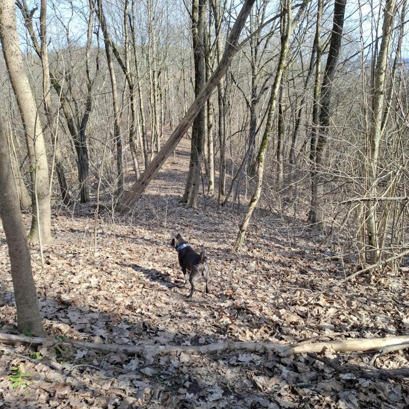 Alma uploaded   1 year/s ago