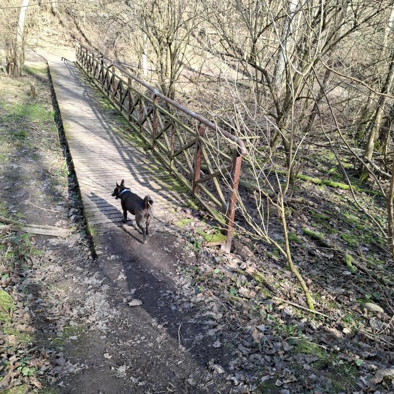 Alma uploaded   1 year/s ago