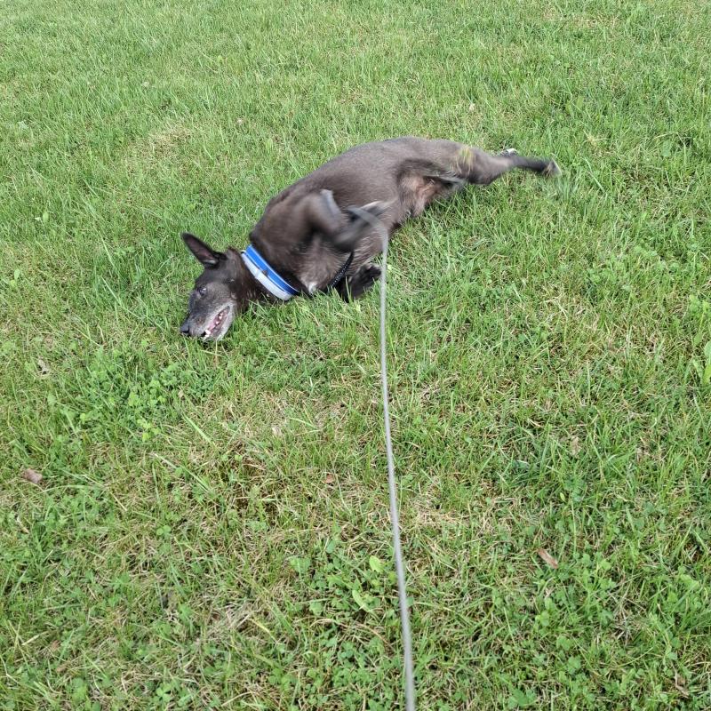 Alma uploaded   1 year/s ago