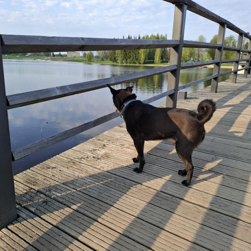 Alma uploaded   349  day/s  ago