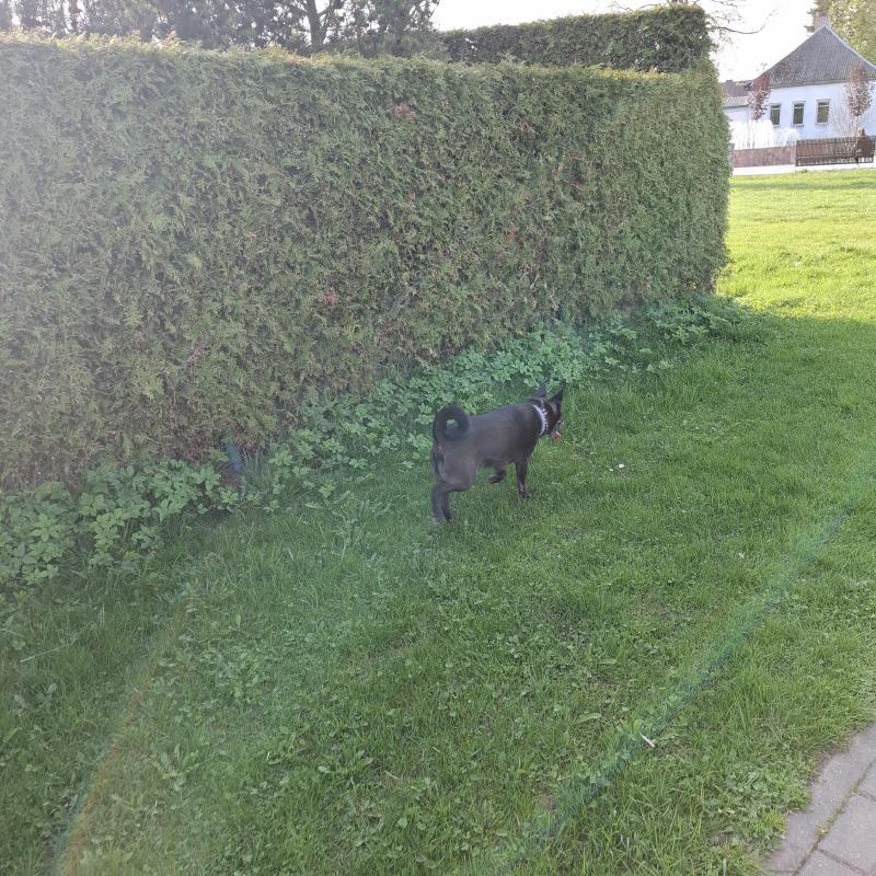 Alma uploaded   362  day/s  ago