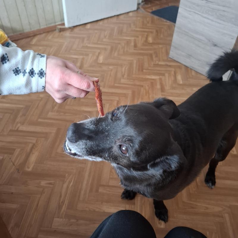 Alma uploaded   340  day/s  ago