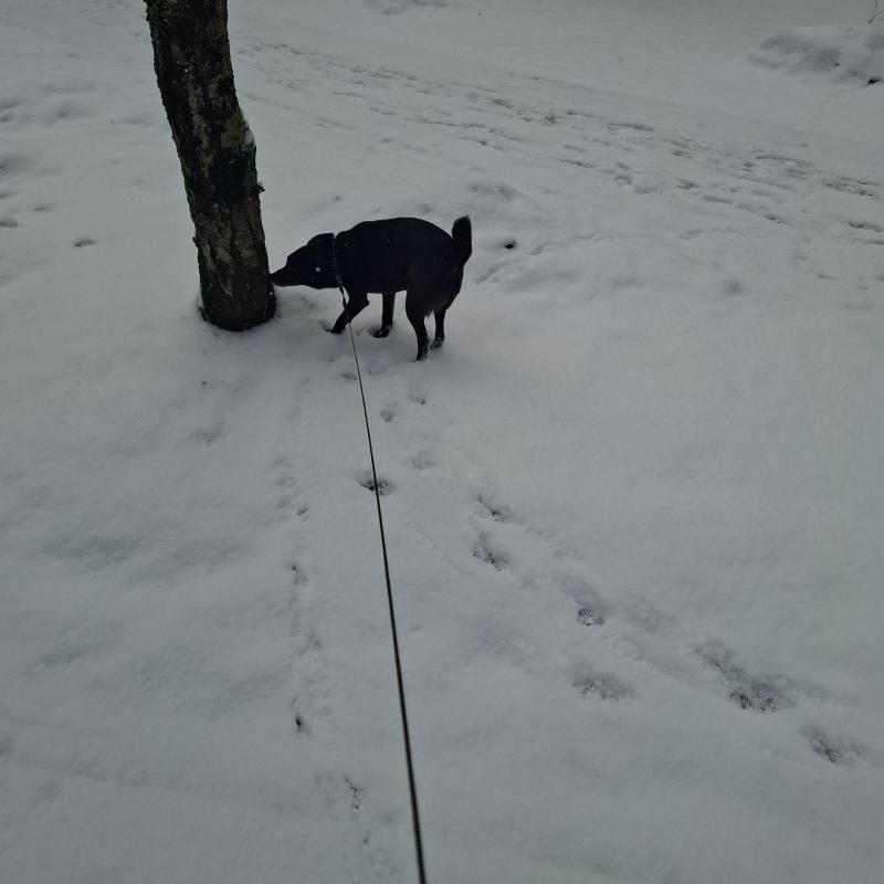 Alma uploaded   1 year/s ago