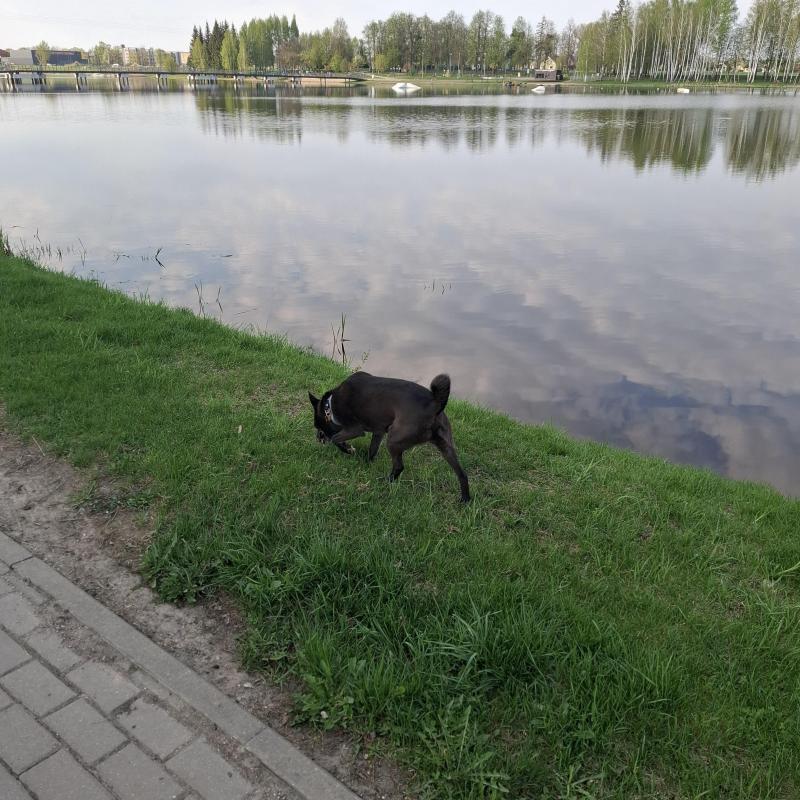 Alma uploaded   1 year/s ago