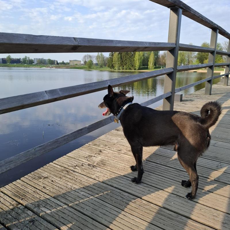 Alma uploaded   349  day/s  ago