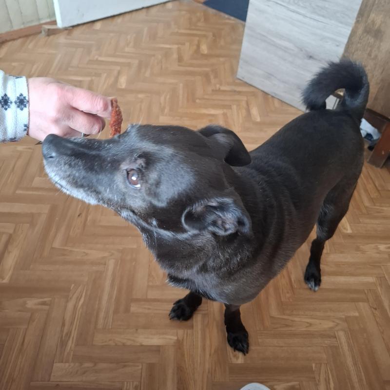 Alma uploaded   340  day/s  ago