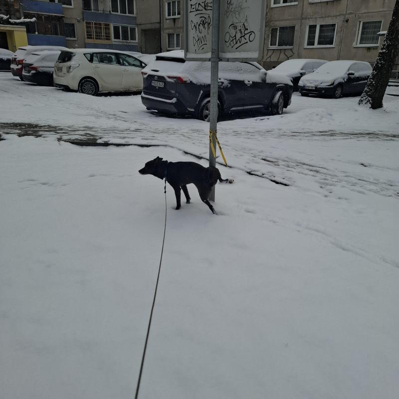 Alma uploaded   1 year/s ago