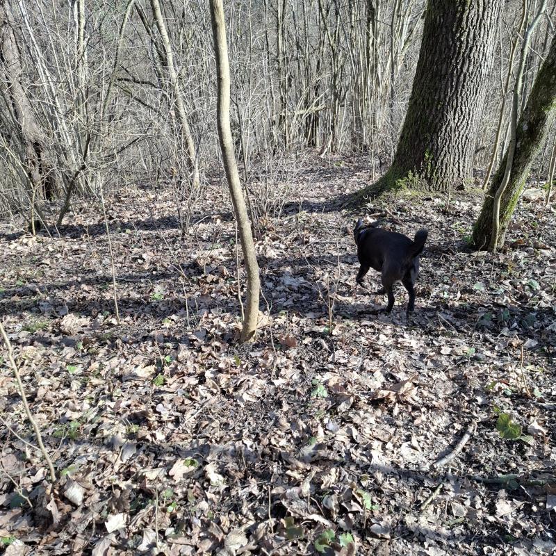 Alma uploaded   1 year/s ago