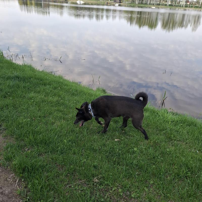 Alma uploaded   1 year/s ago