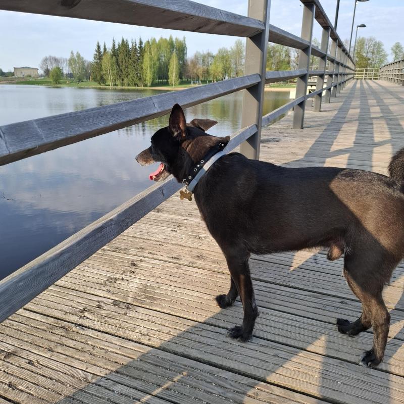 Alma uploaded   349  day/s  ago