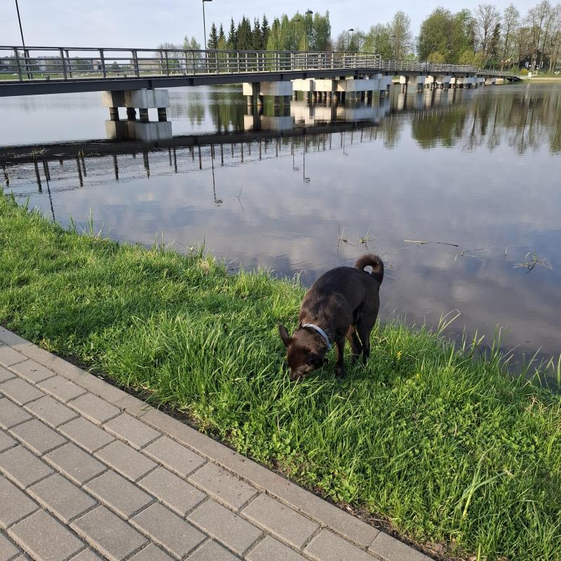 Alma uploaded   362  day/s  ago