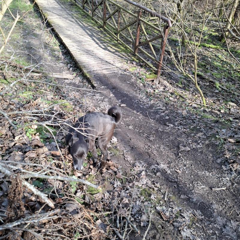 Alma uploaded   1 year/s ago