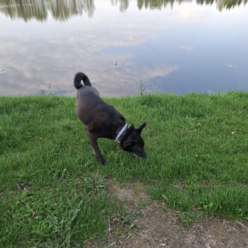 Alma uploaded   1 year/s ago