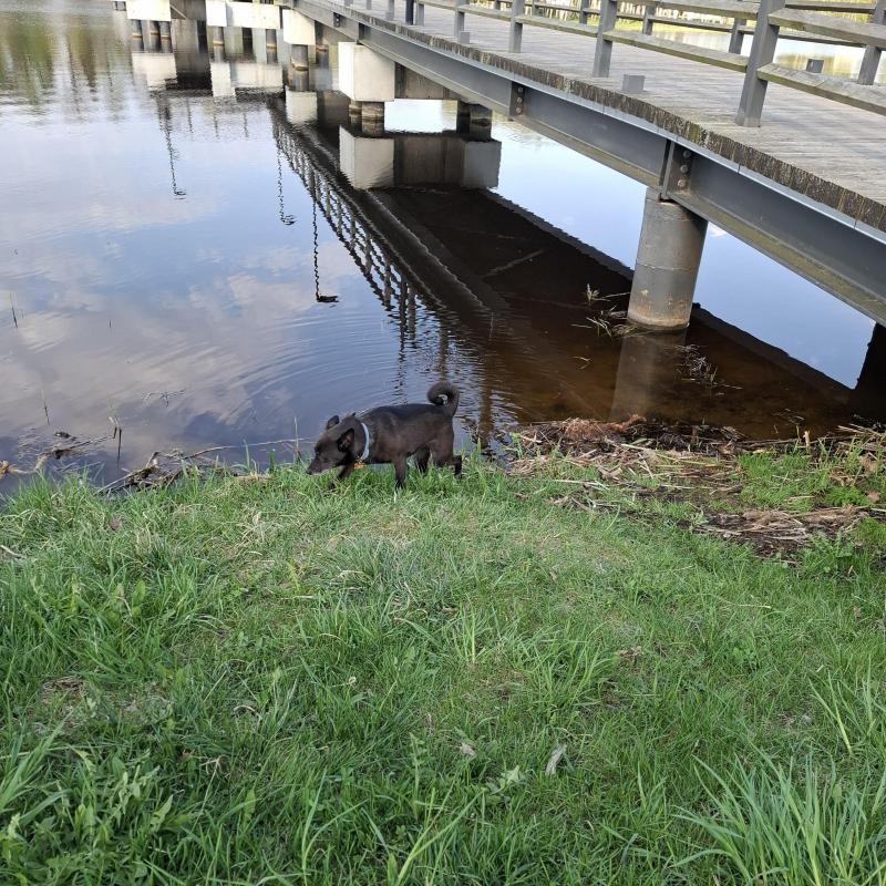 Alma uploaded   349  day/s  ago