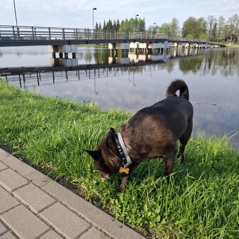 Alma uploaded   362  day/s  ago