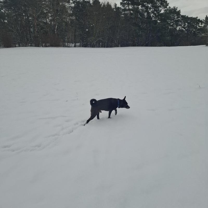 Alma uploaded   1 year/s ago