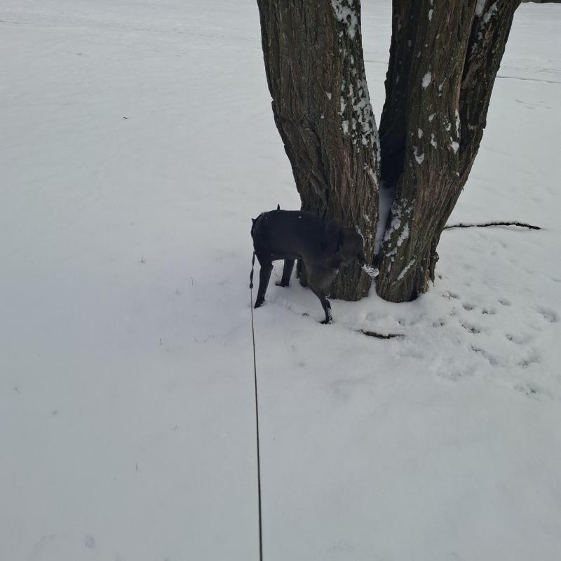 Alma uploaded   1 year/s ago