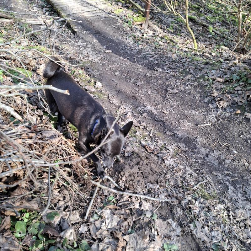 Alma uploaded   1 year/s ago