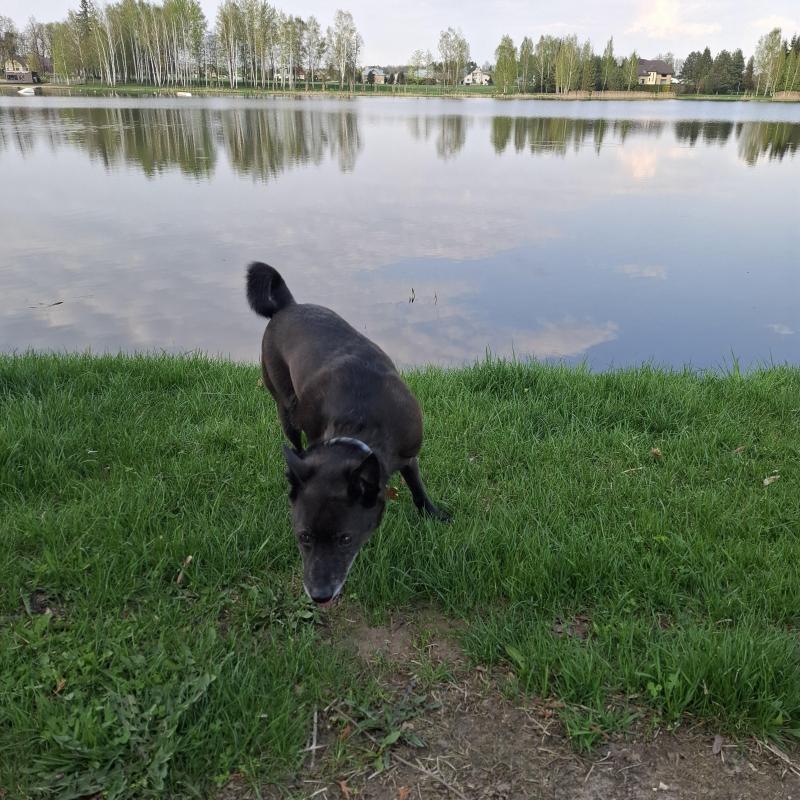 Alma uploaded   1 year/s ago