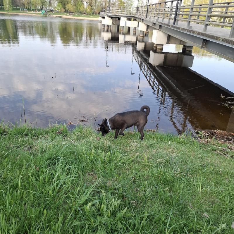 Alma uploaded   349  day/s  ago