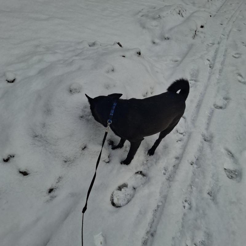 Alma uploaded   1 year/s ago