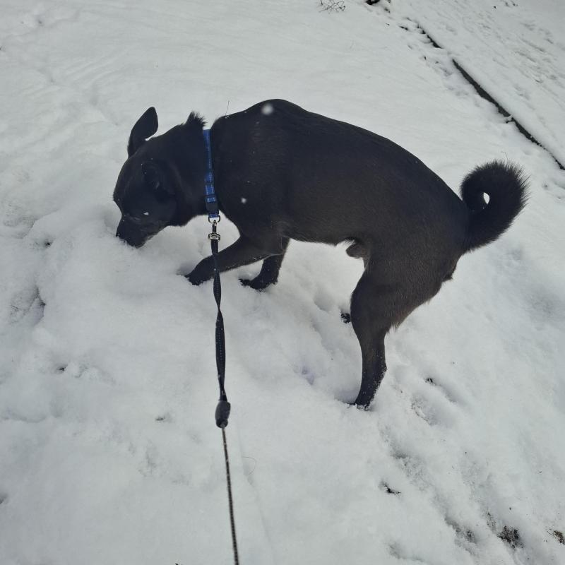 Alma uploaded   1 year/s ago