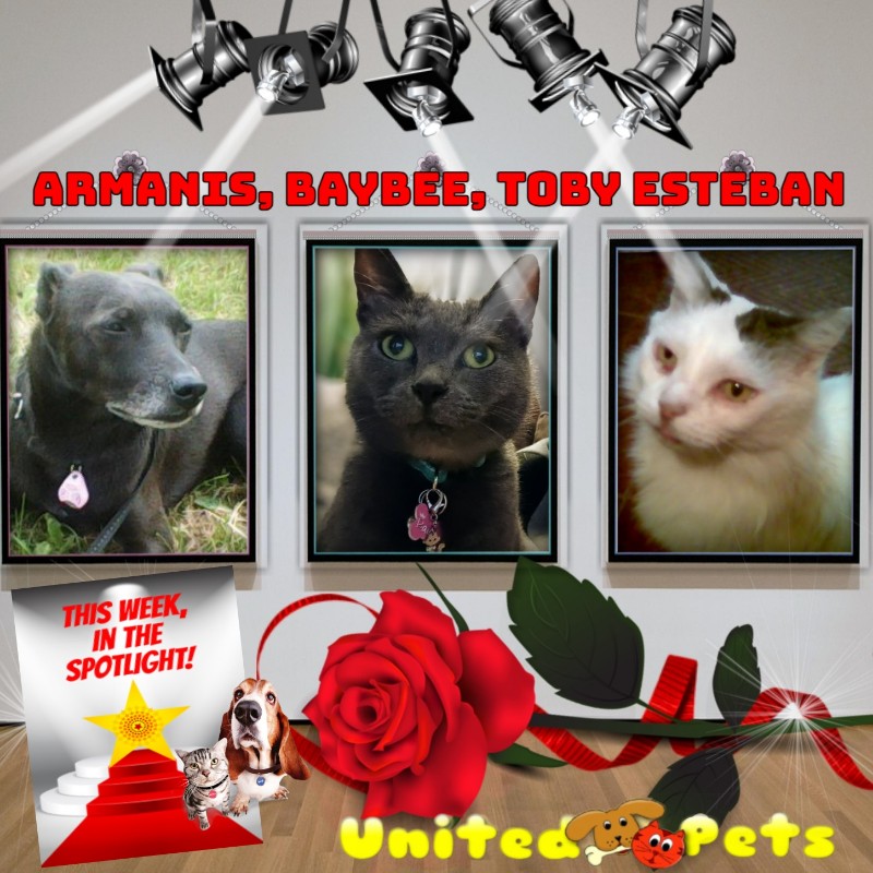 Alma uploaded   86  day/s  ago