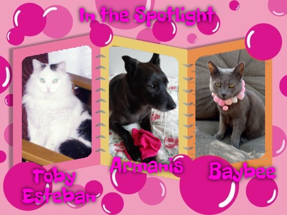 Alma uploaded   86  day/s  ago