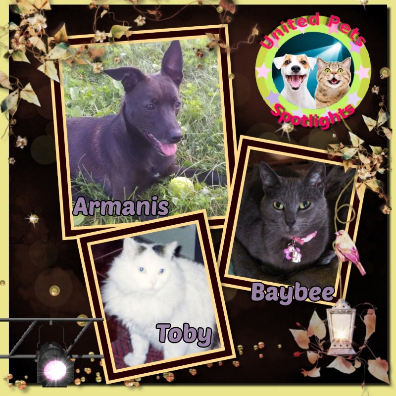 Alma uploaded   86  day/s  ago