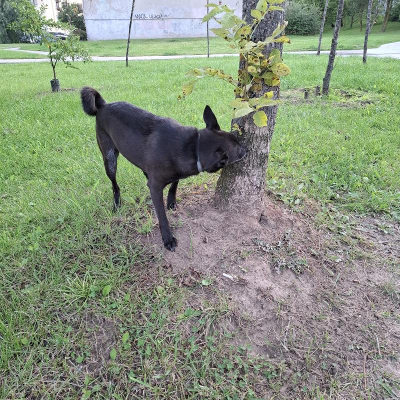 Alma uploaded   174  day/s  ago