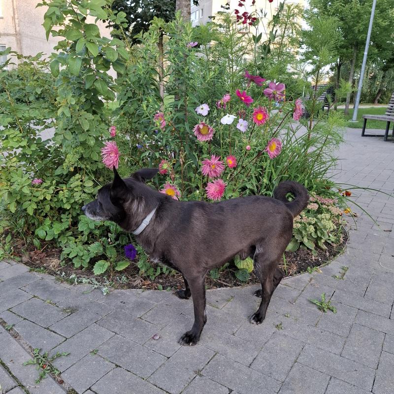 Alma uploaded   174  day/s  ago