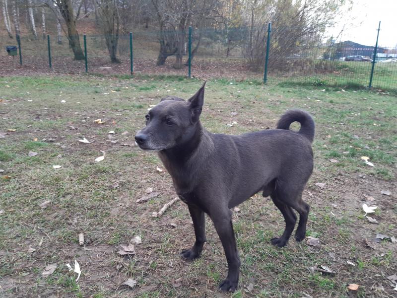 Alma uploaded   203  day/s  ago