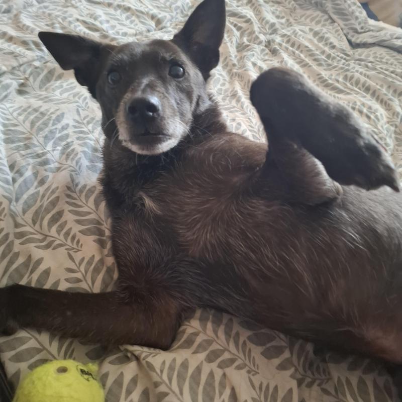 Alma uploaded   154  day/s  ago