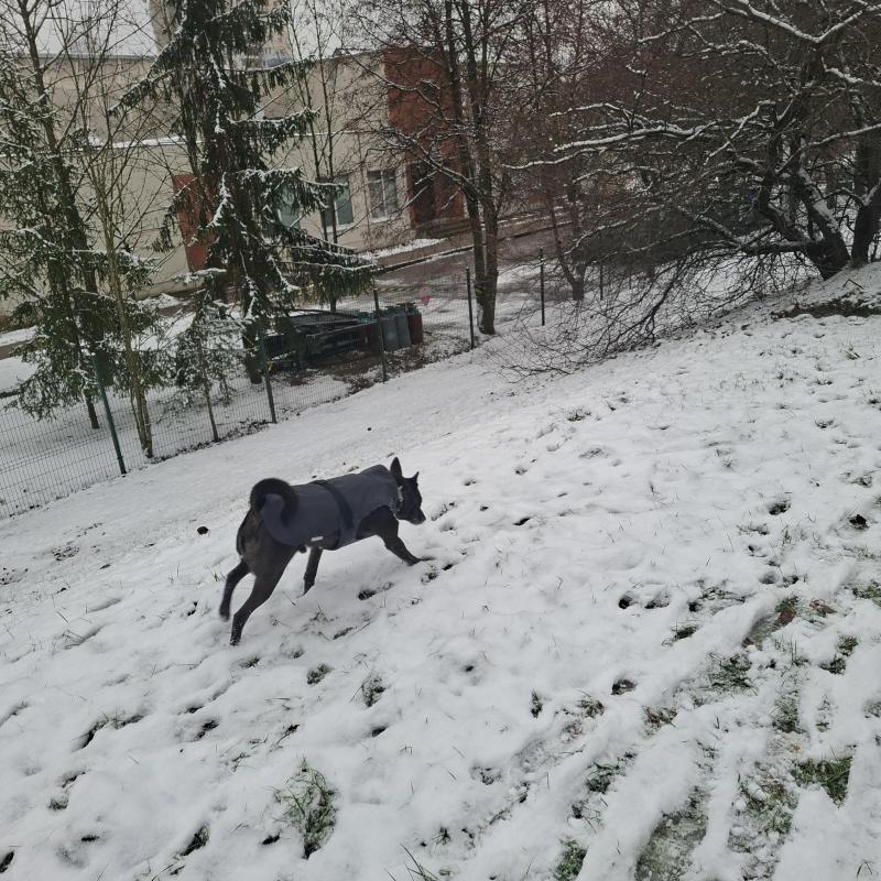 Alma uploaded   128  day/s  ago