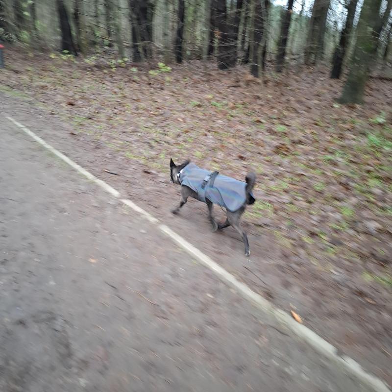 Alma uploaded   128  day/s  ago