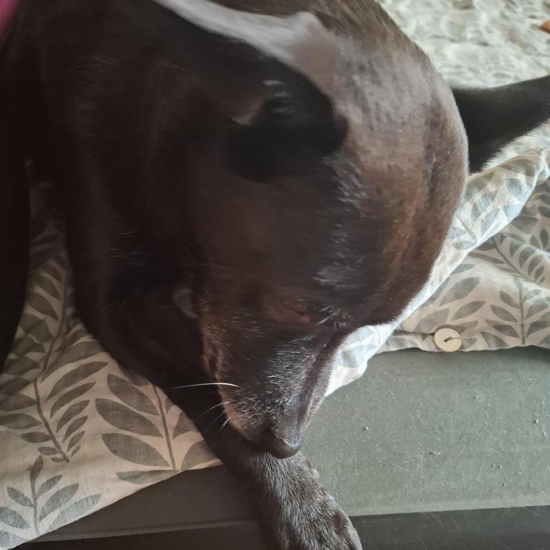 Alma uploaded   140  day/s  ago