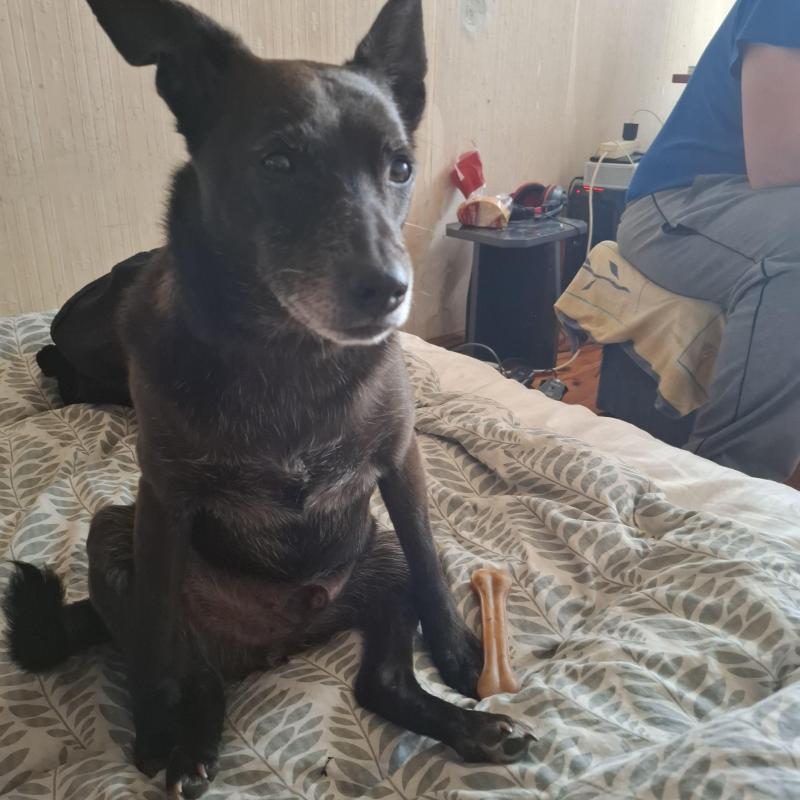 Alma uploaded   140  day/s  ago