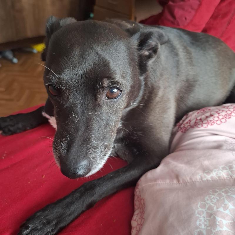 Alma uploaded   332  day/s  ago