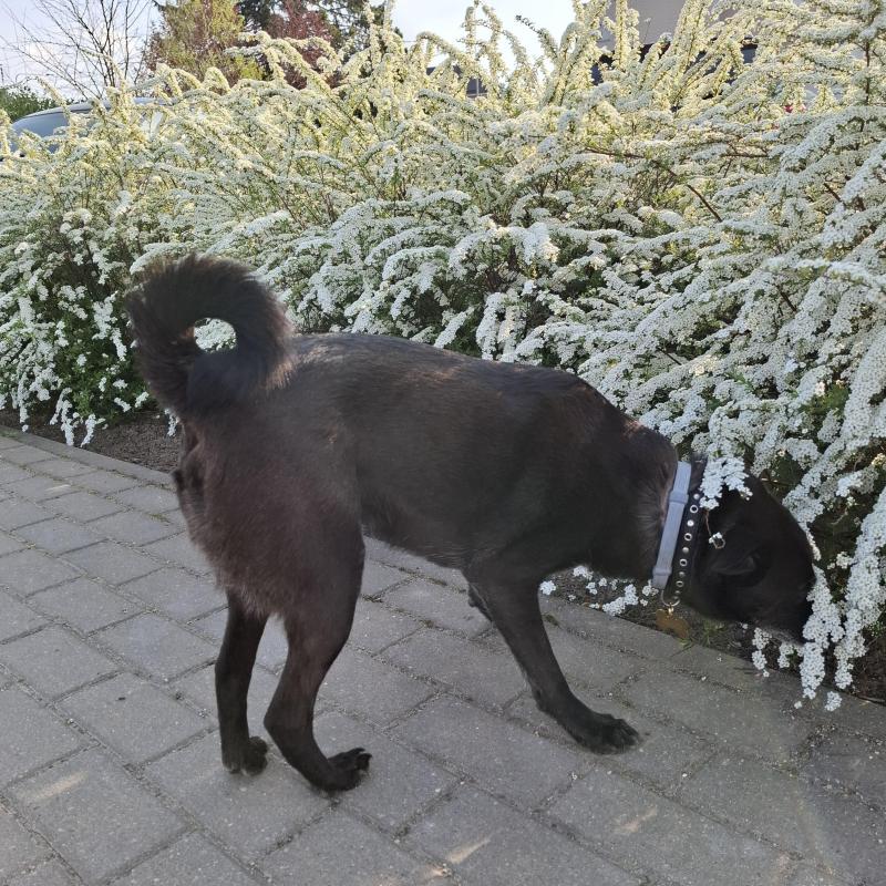 Alma uploaded   271  day/s  ago