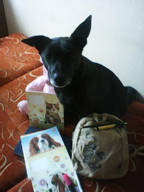 Alma uploaded   249  day/s  ago