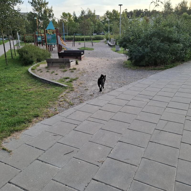 Alma uploaded   226  day/s  ago