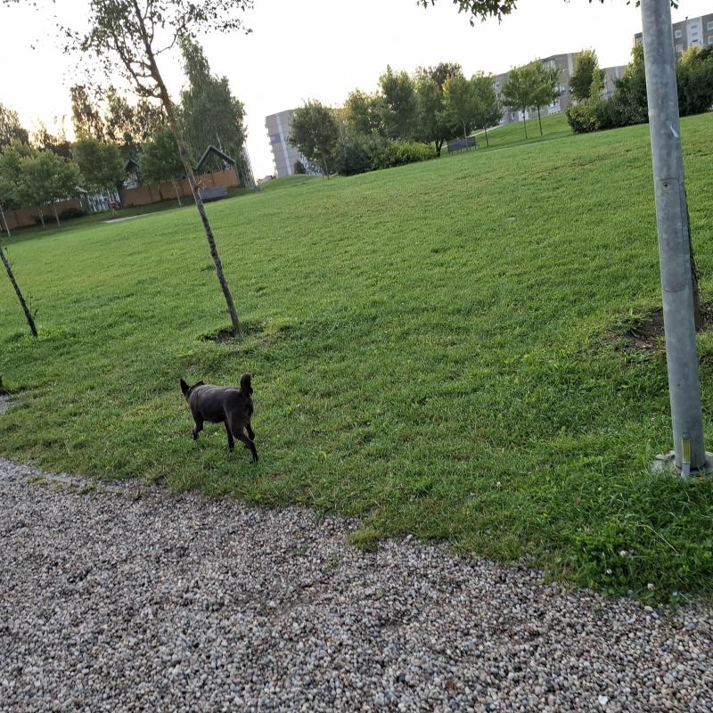 Alma uploaded   209  day/s  ago