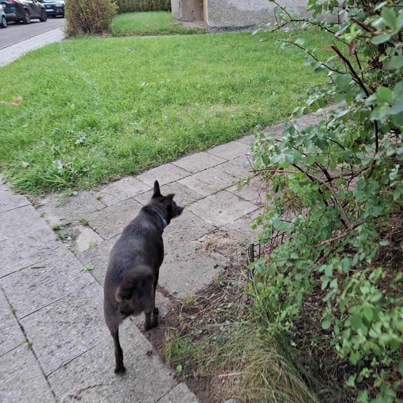 Alma uploaded   174  day/s  ago